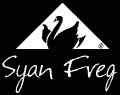 Fregaderos sintéticos Syan