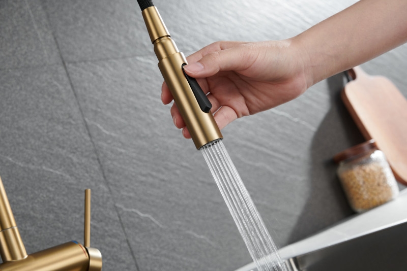 Grifo cocina extraíble Imex Berna oro cepillado